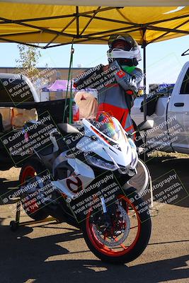 media/Jul-19-2025-TrackDaz (Sat) [[ff1509a44a]]/Around the Pits/